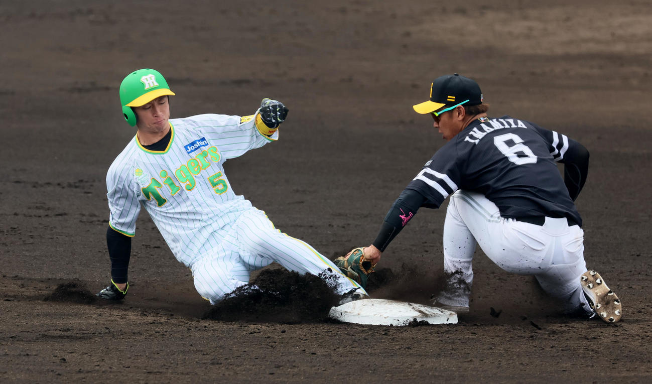 阪神対ソフトバンク　3回裏阪神2死一塁、一塁走者近本は打者中野のとき二塁盗塁を決める。野手は今宮（撮影・加藤哉）