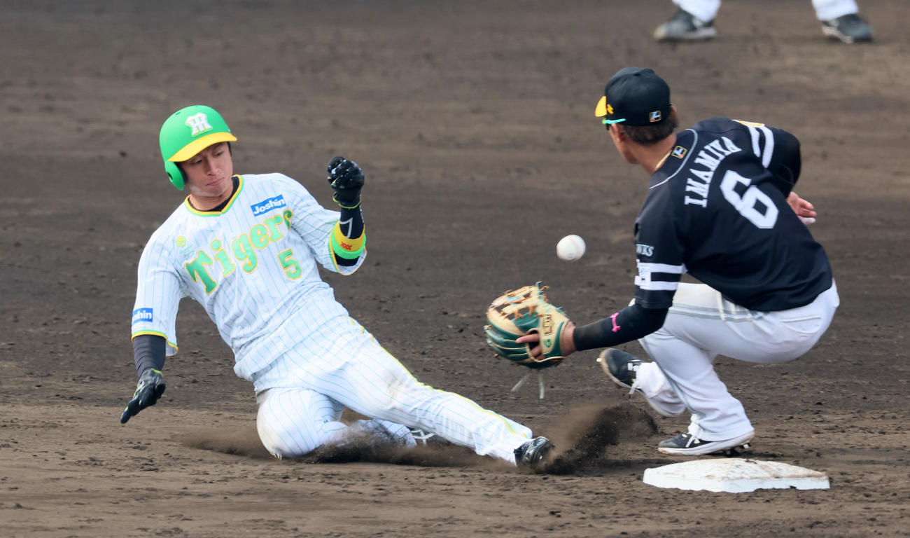 阪神対ソフトバンク　5回裏阪神2死一塁、一塁走者近本は打者中野のとき二塁盗塁を決める。野手は今宮（撮影・加藤哉）