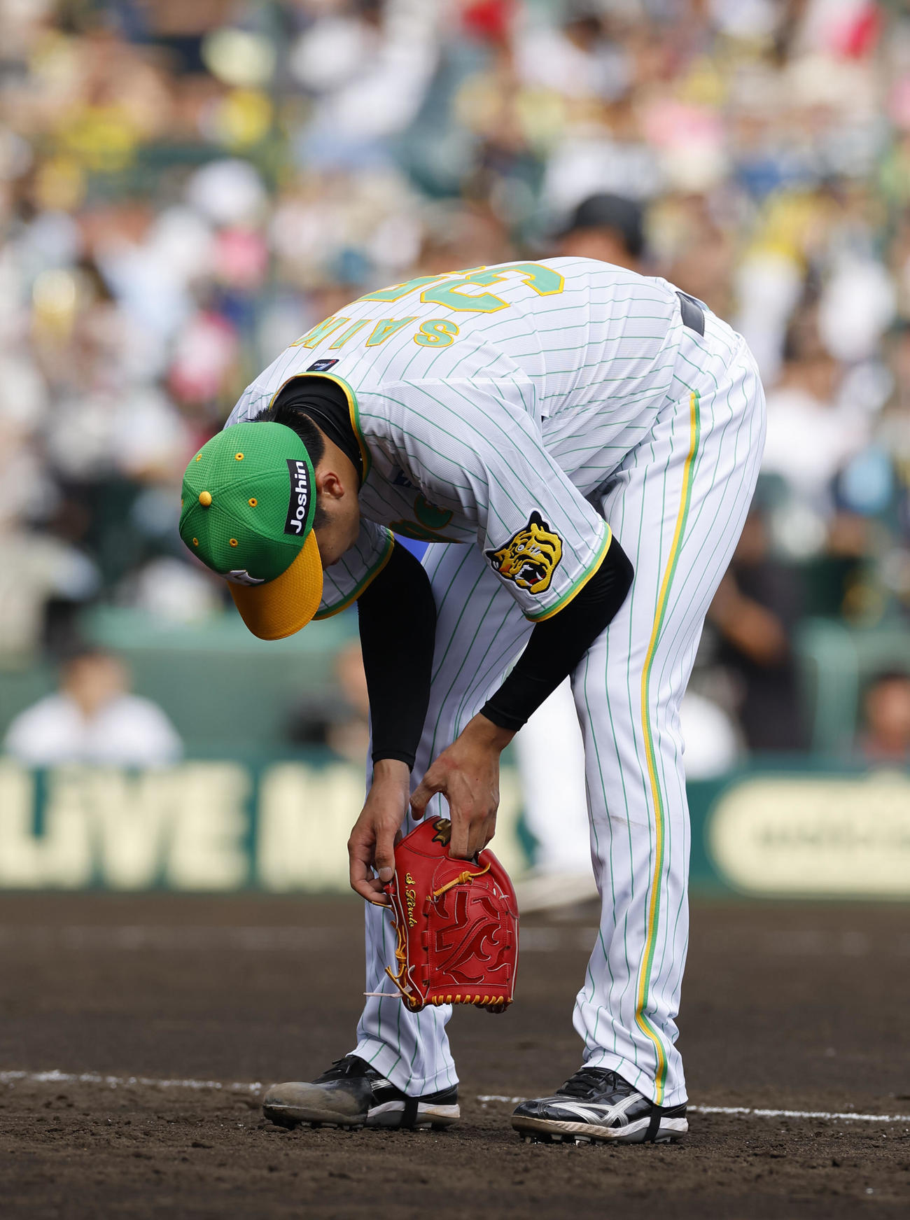 5回表ソフトバンク2死一、二塁、柳田を右飛に打ち取り、疲れた様子でベンチに戻る阪神才木（撮影・藤尾明華）