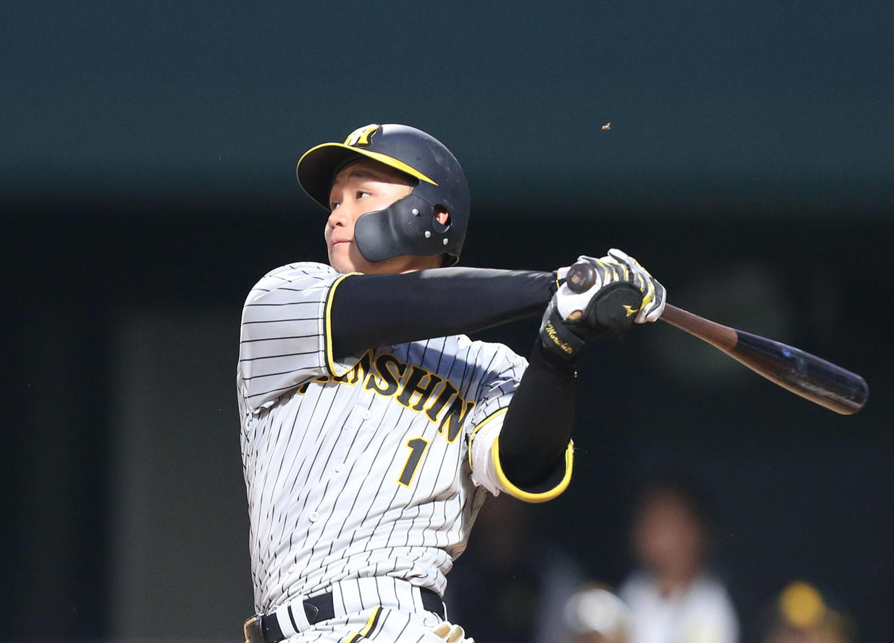 阪神森下翔太（2023年6月14日撮影）