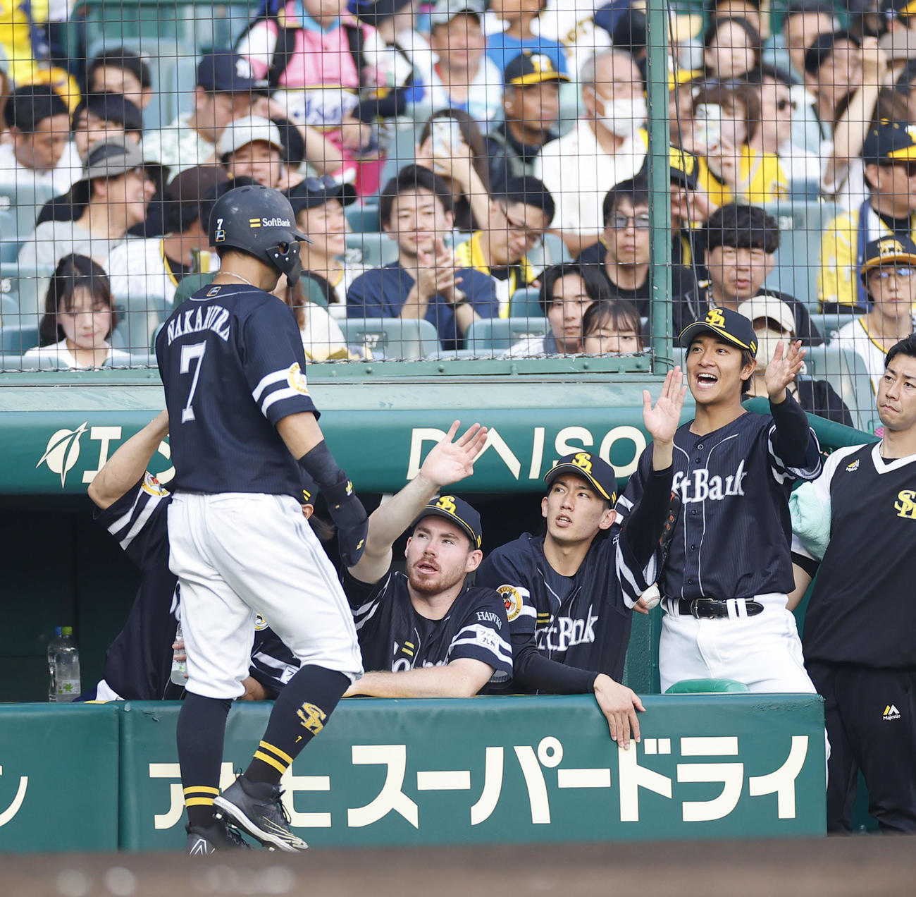 阪神対ソフトバンク　8回表ソフトバンク1死一、三塁、上林の右犠飛で生還した中村晃（左端）を迎えるスチュワート（中央左）と大津（中央右）（撮影・藤尾明華）
