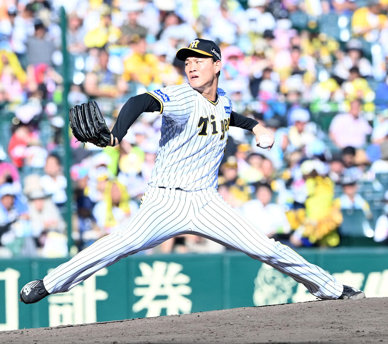 阪神及川雅貴（2023年6月17日撮影）
