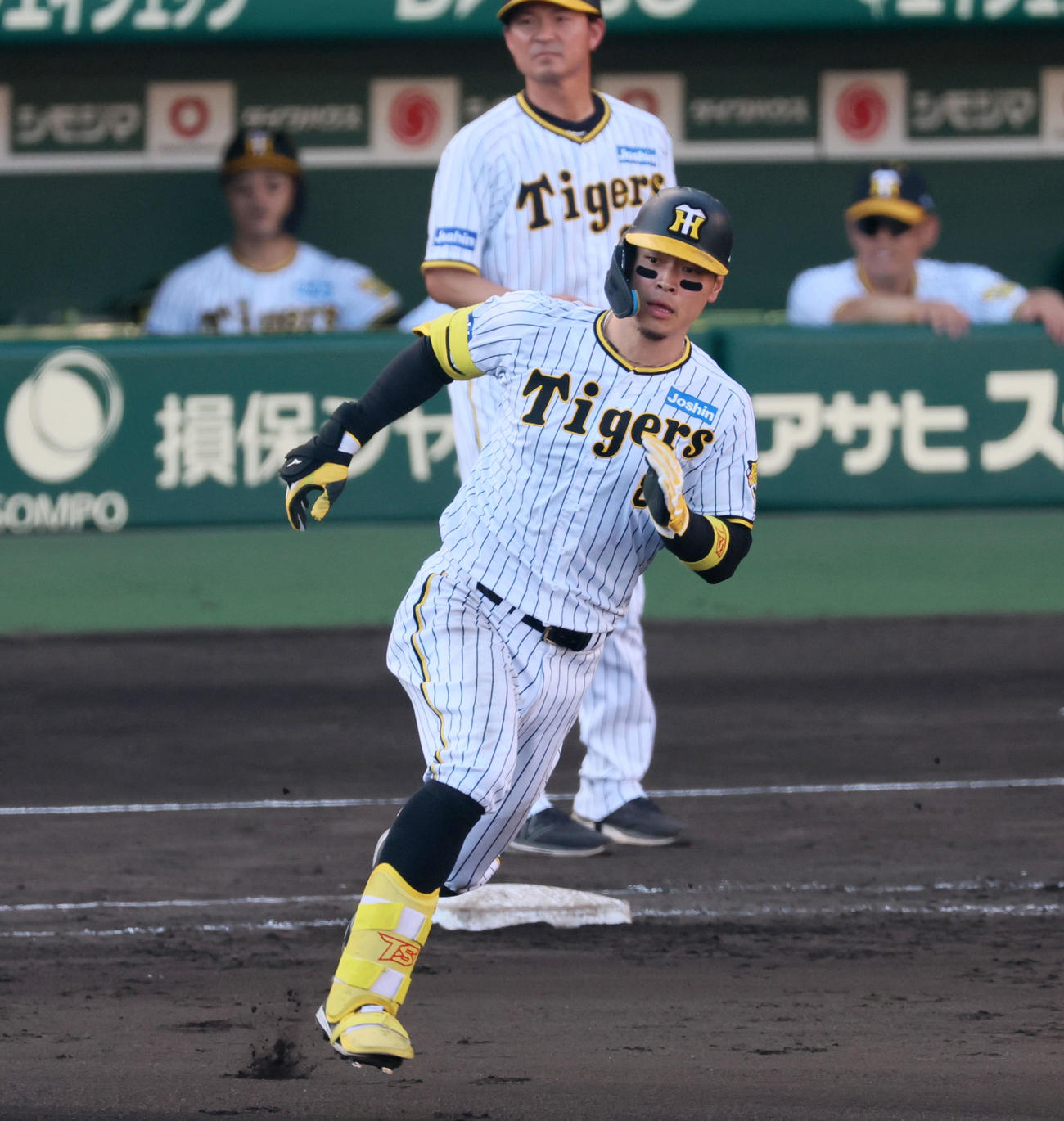 阪神佐藤輝明（2023年6月17日撮影）