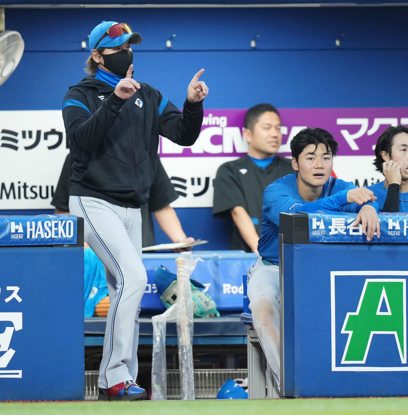 DeNA対日本ハム　4回表日本ハム1死、リプレー検証を要求する日本ハム新庄監督（左）（撮影・横山健太）