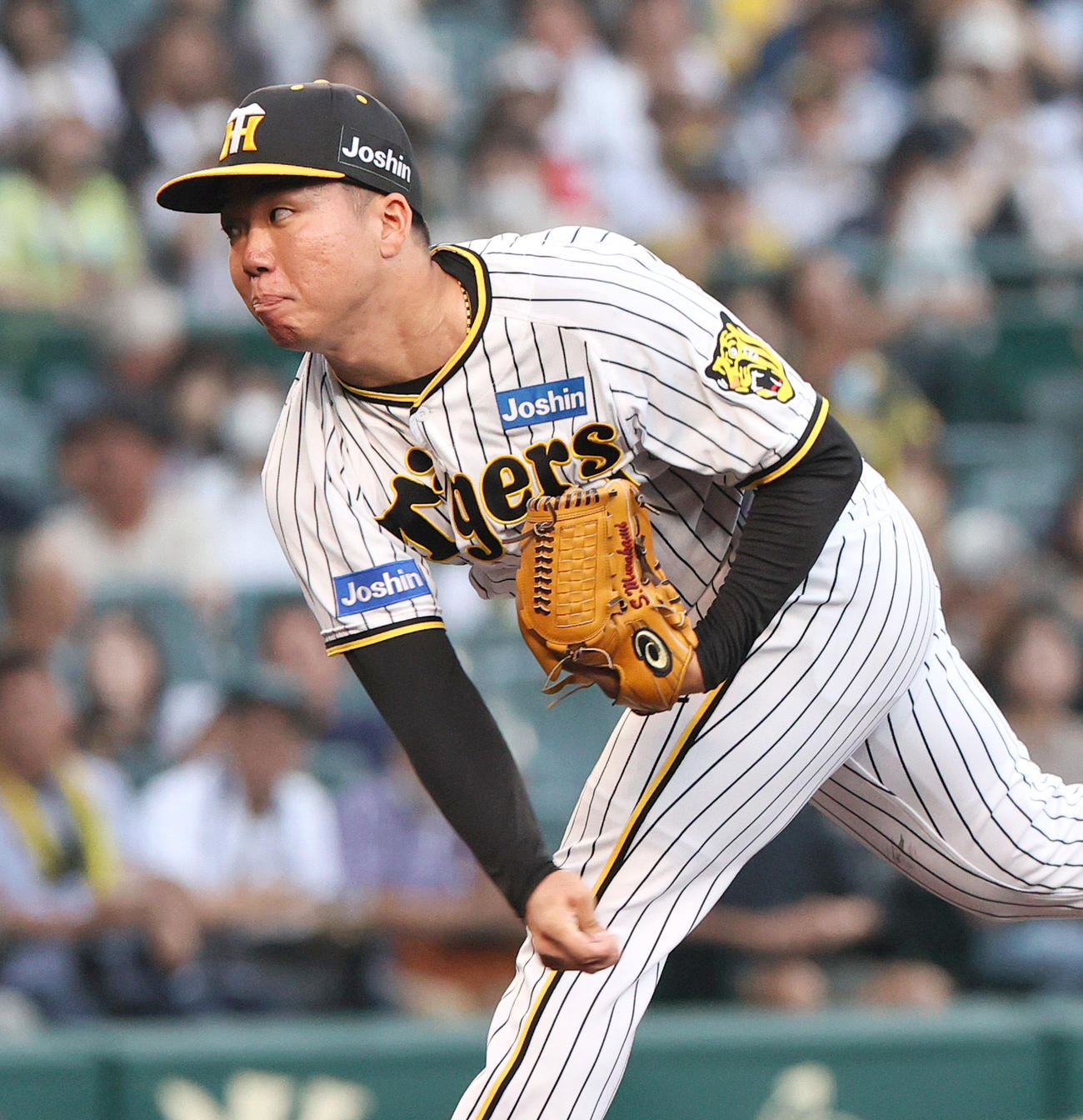 阪神村上頌樹（2023年6月13日撮影）