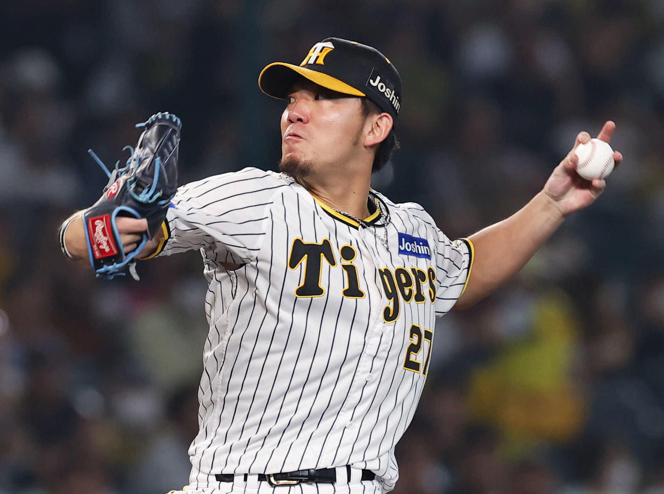 阪神伊藤将司（2023年6月15日撮影）