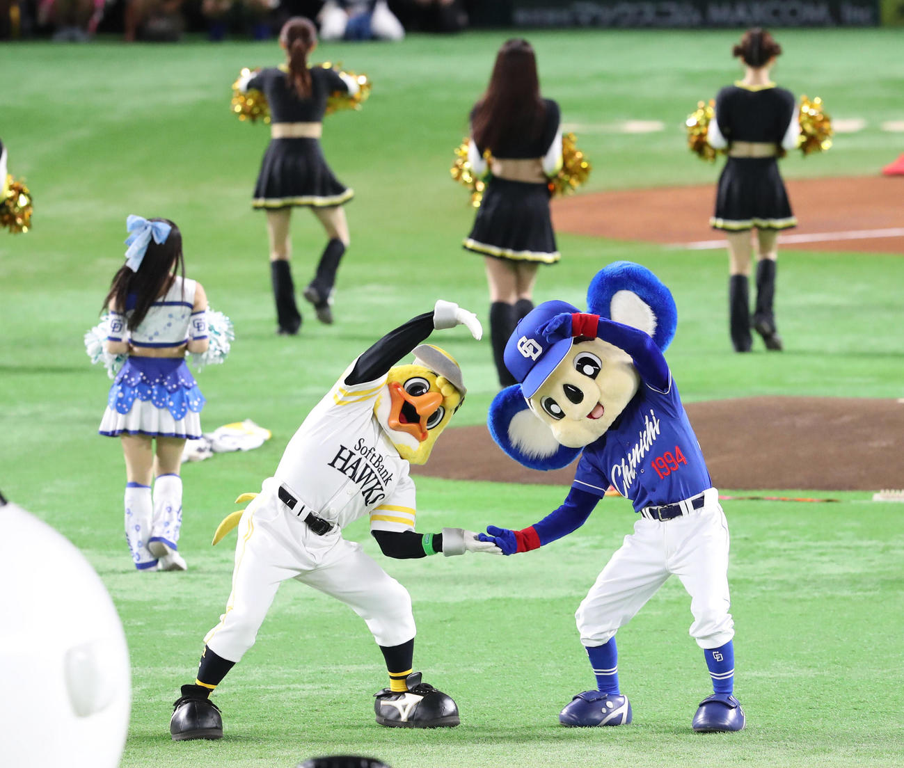 5月30日、福岡ペイペイドームのハリーホークとドアラ（右）（撮影・梅根麻紀）