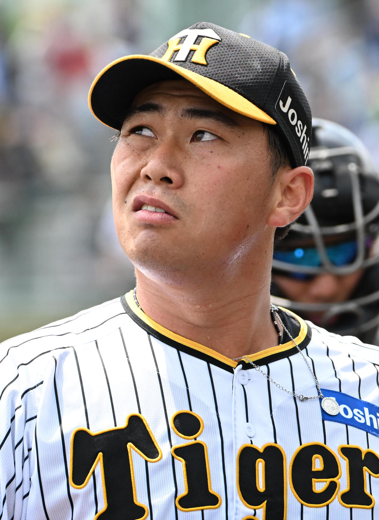 阪神対オリックス　4回表ベンチに引き揚げる桐敷（撮影・石井愛子）