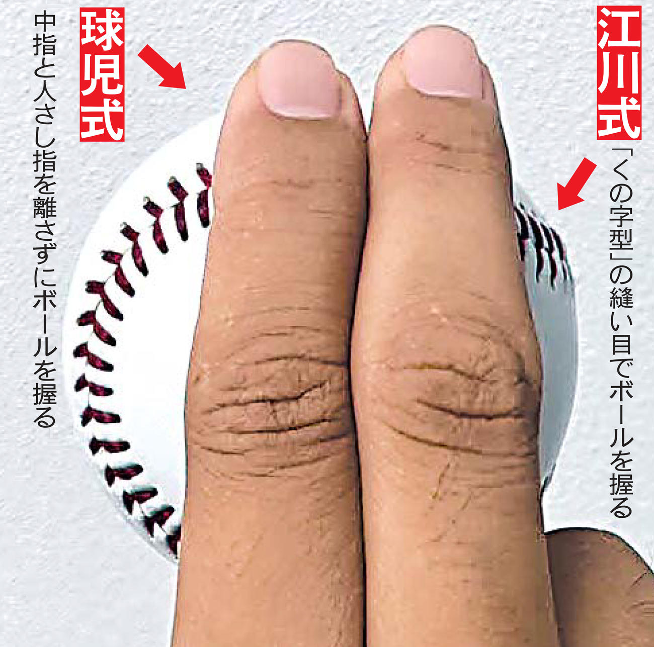 記者が実践した才木の直球の握り方。江川式：「くの字型」の縫い目でボールを握る。球児式：中指と人さし指を離さずにボールを握る。