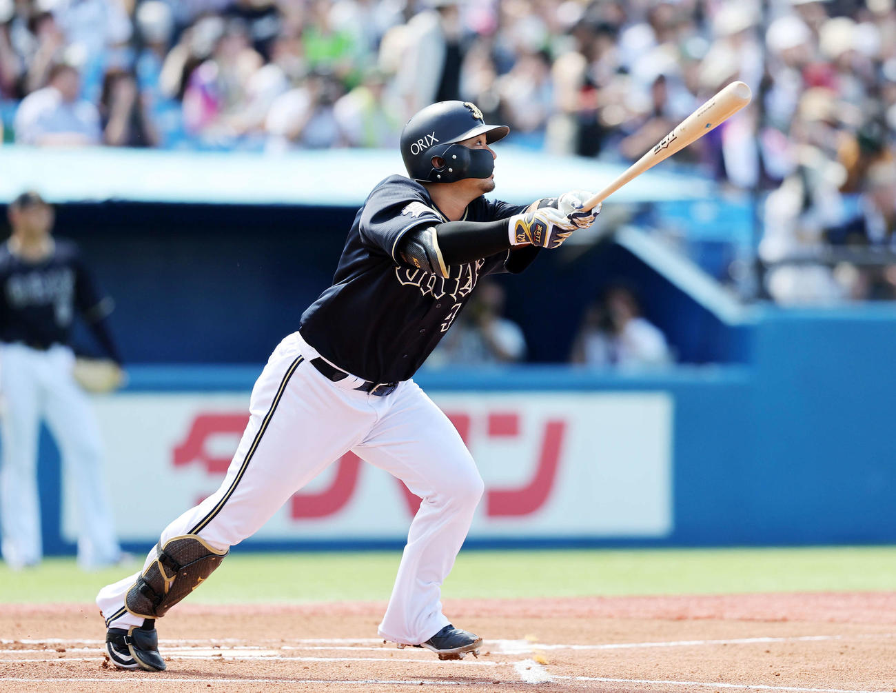 オリックス森（6月17日撮影）