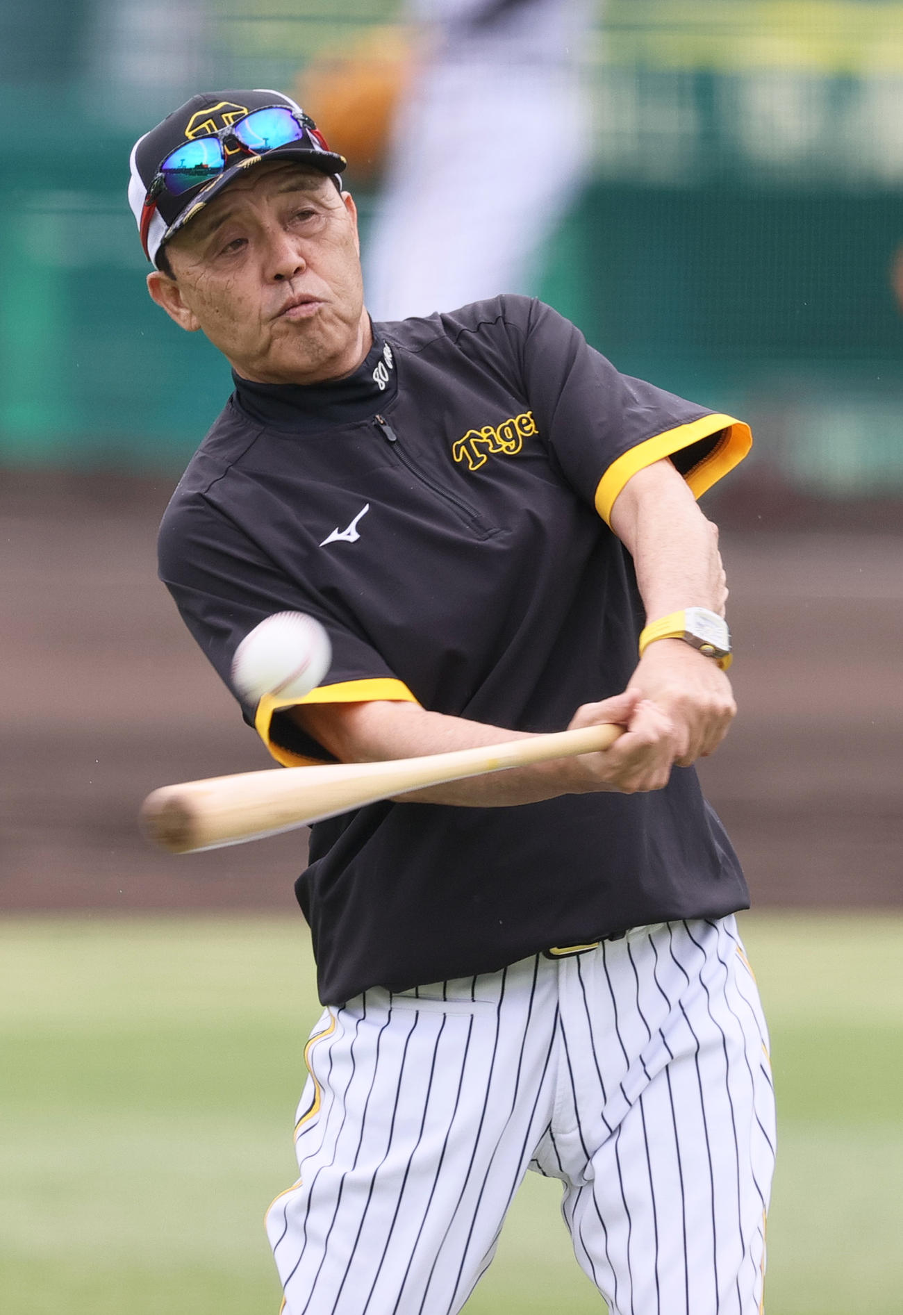 打撃する阪神岡田監督（撮影・上山淳一）