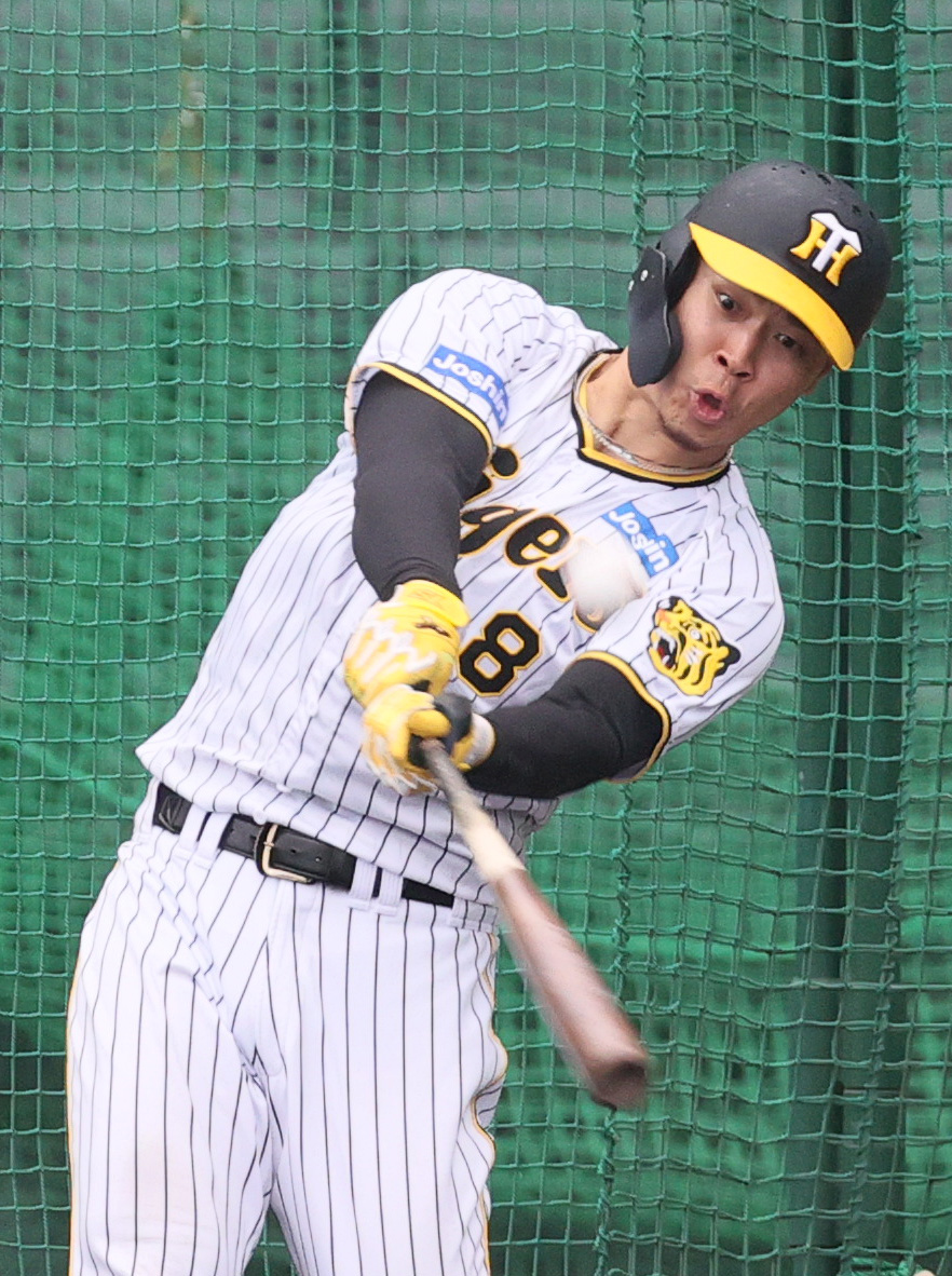 フリー打撃する阪神佐藤輝（撮影・上山淳一）