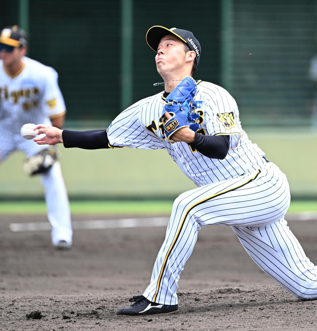 阪神対オリックス　阪神先発の青柳（撮影・石井愛子）