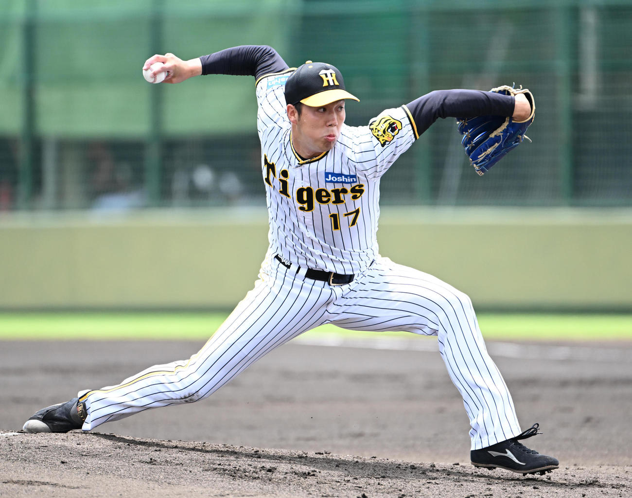 阪神対オリックス　阪神先発の青柳（撮影・石井愛子）
