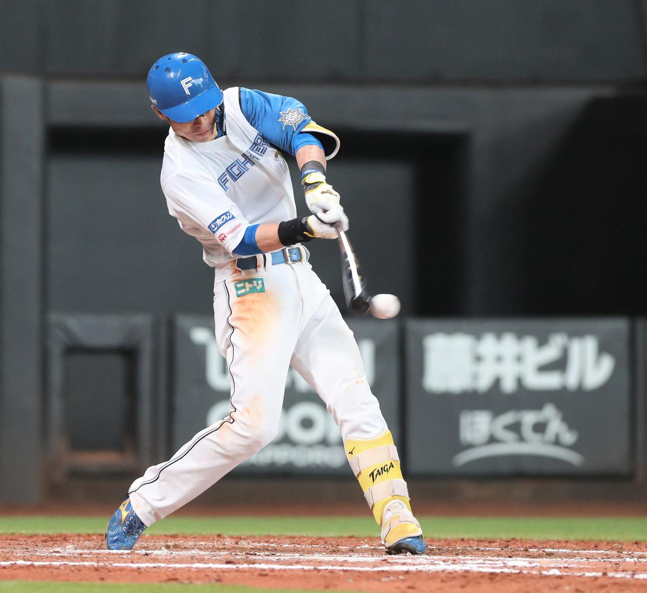 日本ハム江越大賀（2023年6月10日撮影）