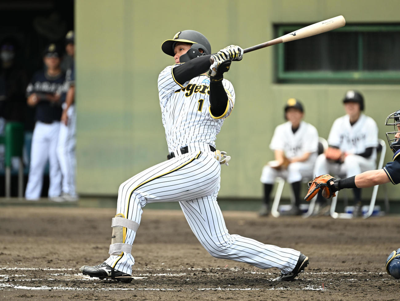 阪神森下翔太（2023年6月21日撮影）