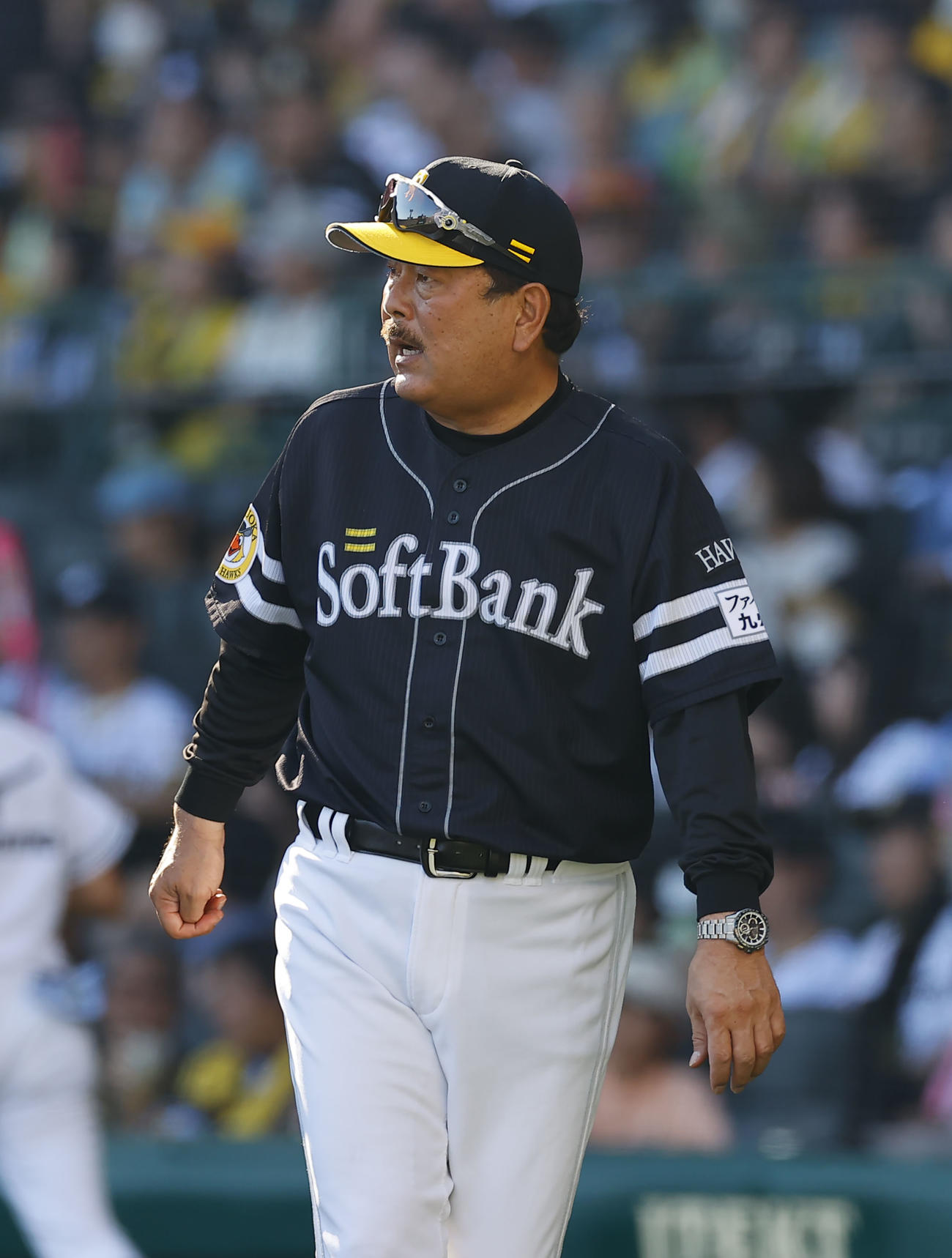 ソフトバンク藤本監督（2023年6月撮影）