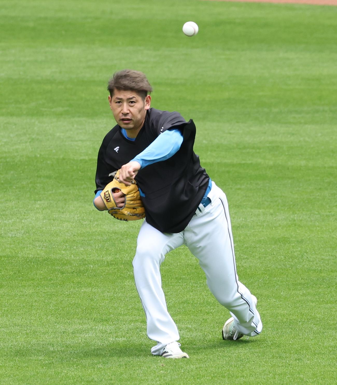 キャッチボールする日本ハム加藤貴（撮影・黒川智章）