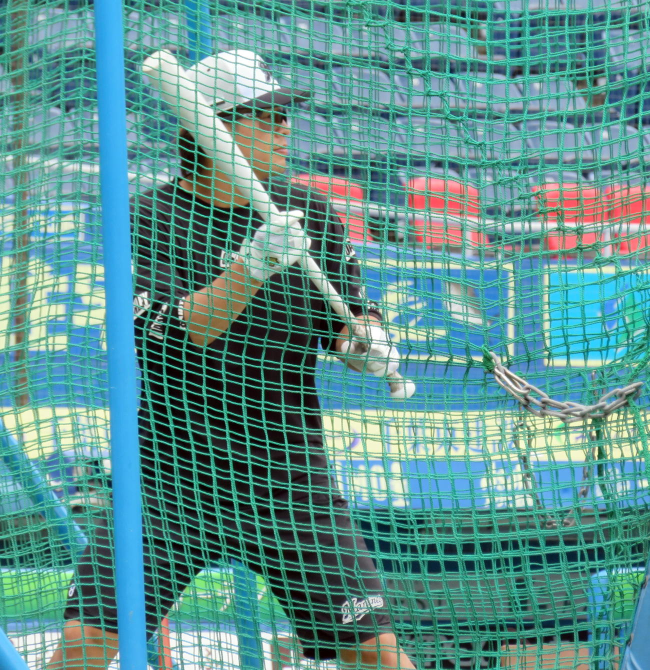 打撃練習を行うロッテ中村奨（撮影・鎌田直秀）