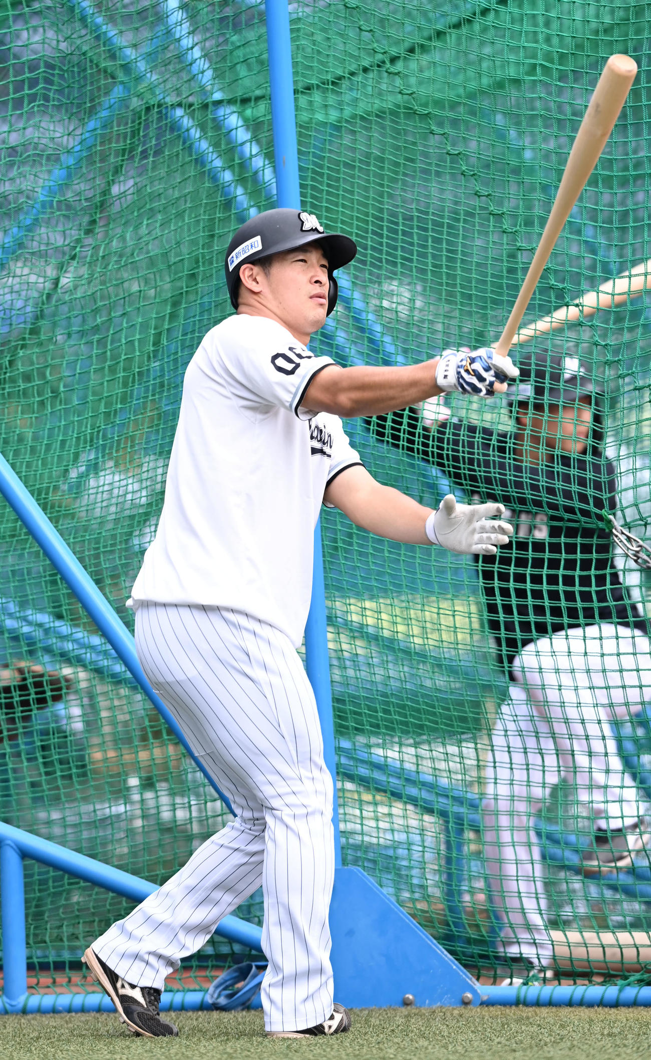 ロッテ対日本ハム　打撃練習をするロッテ池田（撮影・横山健太）
