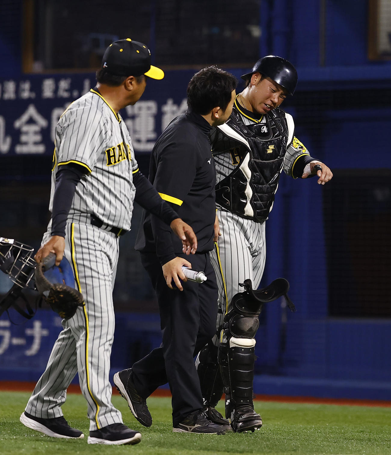 DeNA対阪神　5回裏DeNA2死、投球を右膝に受け、治療のためベンチに下る阪神梅野（右）（撮影・藤尾明華）