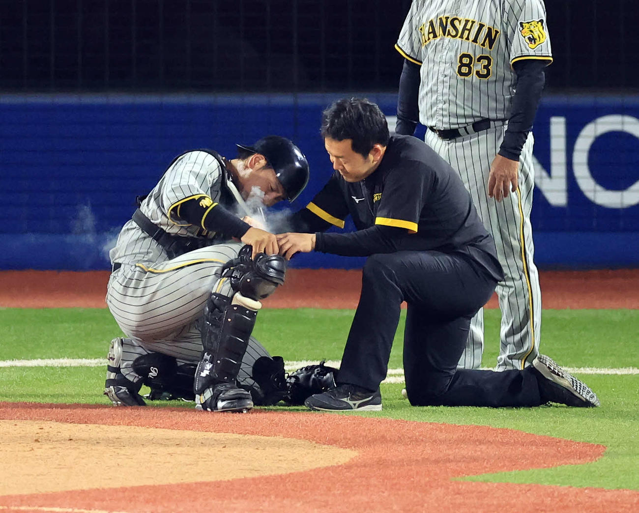 DeNA対阪神　6回裏DeNA2死、打者宮崎敏郎の時、右膝を痛めスプレーをかけられる梅野（撮影・浅見桂子）