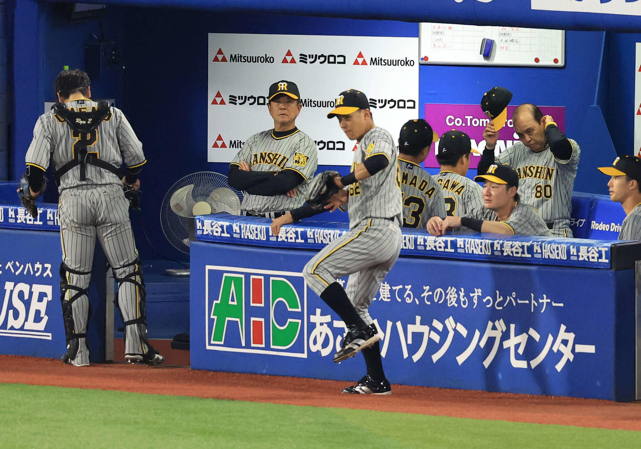 DeNA対阪神　6回裏DeNA2死、右ひざにボールを当てた梅野（左）が治療を受ける間、ベンチで頭の汗をぬぐう岡田監督（右）（撮影・浅見桂子）