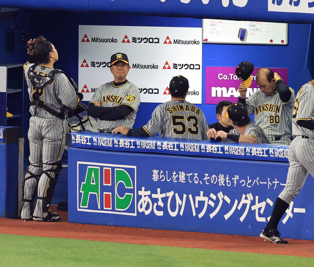 DeNA対阪神　6回裏DeNA2死、右ひざにボールを当てた梅野（左）が治療を受ける間、ベンチで頭の汗をぬぐう岡田監督（右）（撮影・浅見桂子）