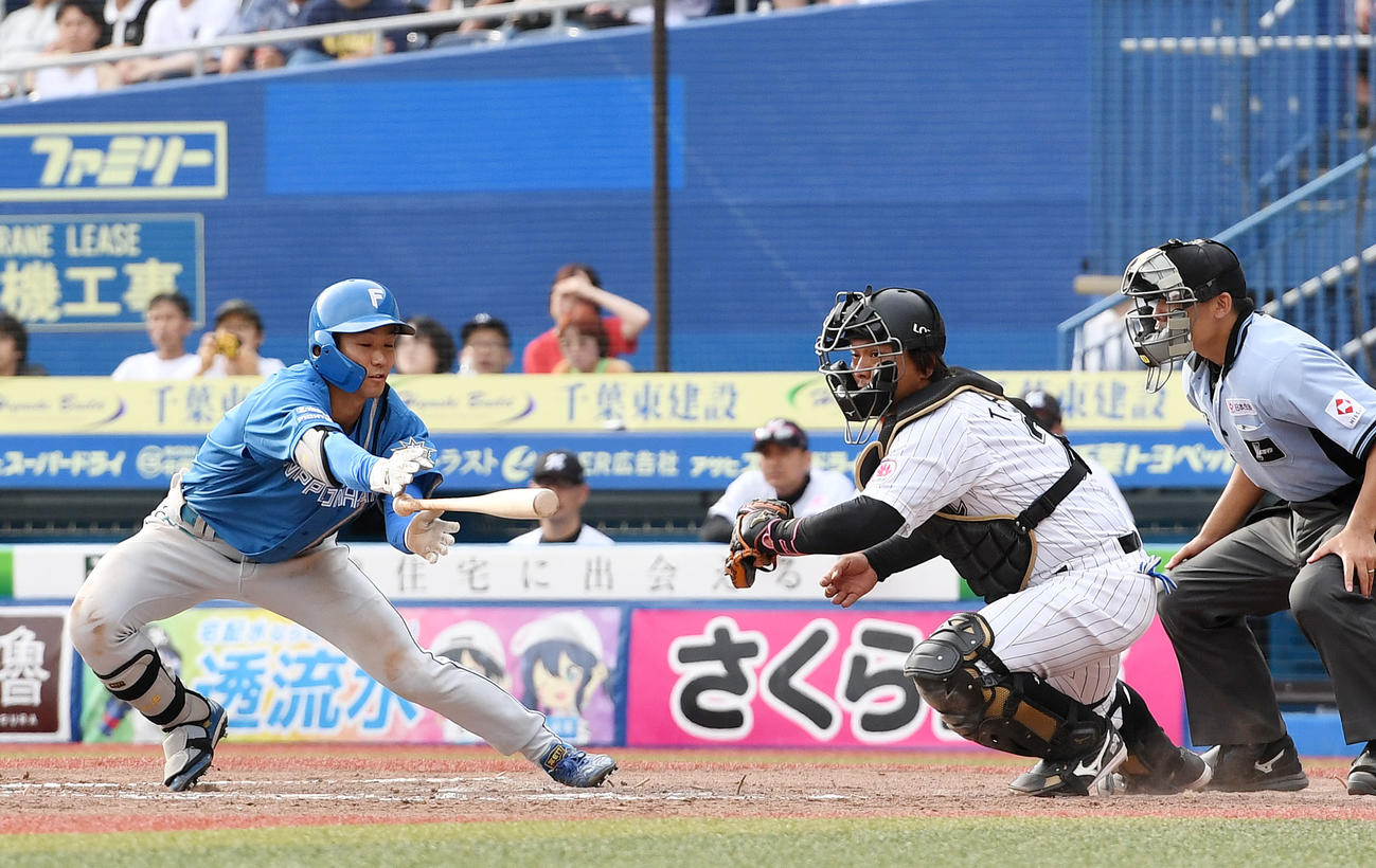 ロッテ対日本ハム　9回表日本ハム無死二、三塁、スクイズを試みるが空振りする石井。捕手田村（撮影・横山健太）