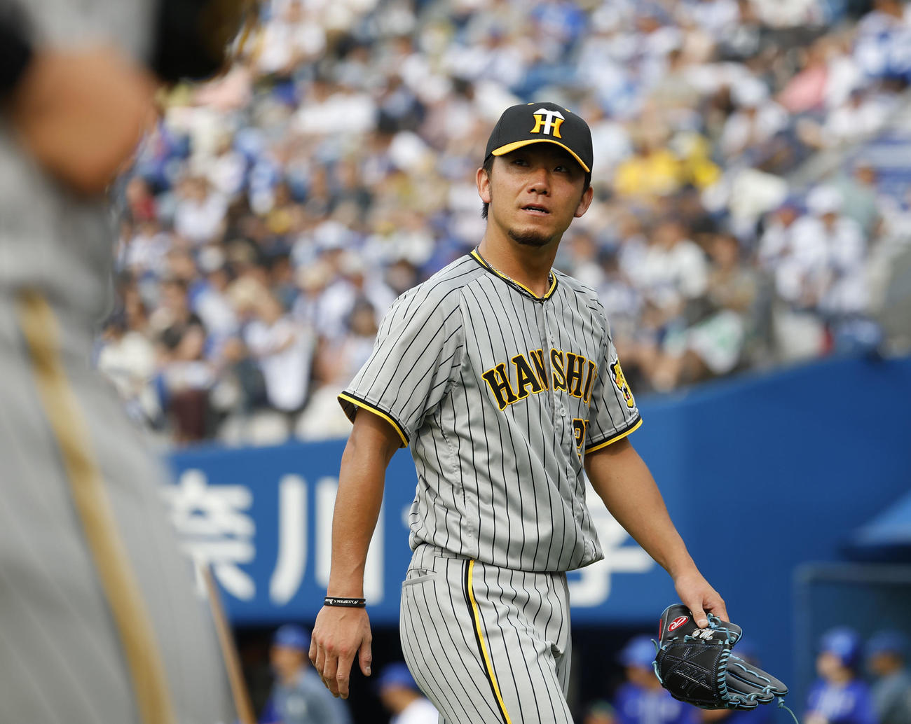 DeNA対阪神　7回裏を終え、ベンチに戻る阪神伊藤将（撮影・藤尾明華）