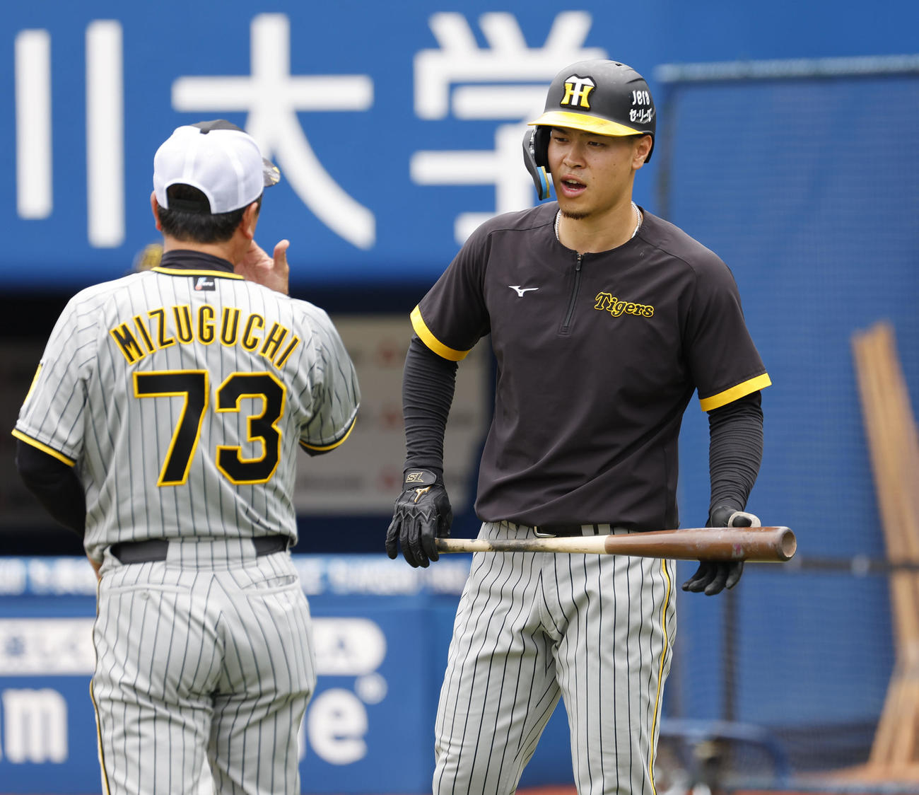 DeNA対阪神　水口打撃コーチと話しをする阪神佐藤輝（撮影・藤尾明華）