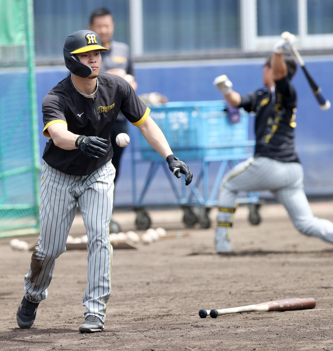 ウエスタン・リーグ中日対阪神　試合前の練習で球拾いする阪神佐藤輝（撮影・上山淳一）
