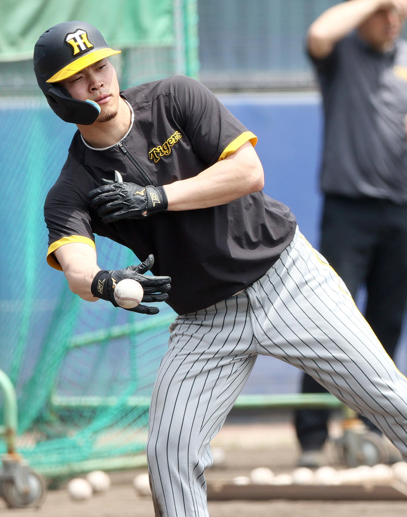 ウエスタン・リーグ中日対阪神　試合前の練習で球拾いする阪神佐藤輝（撮影・上山淳一）