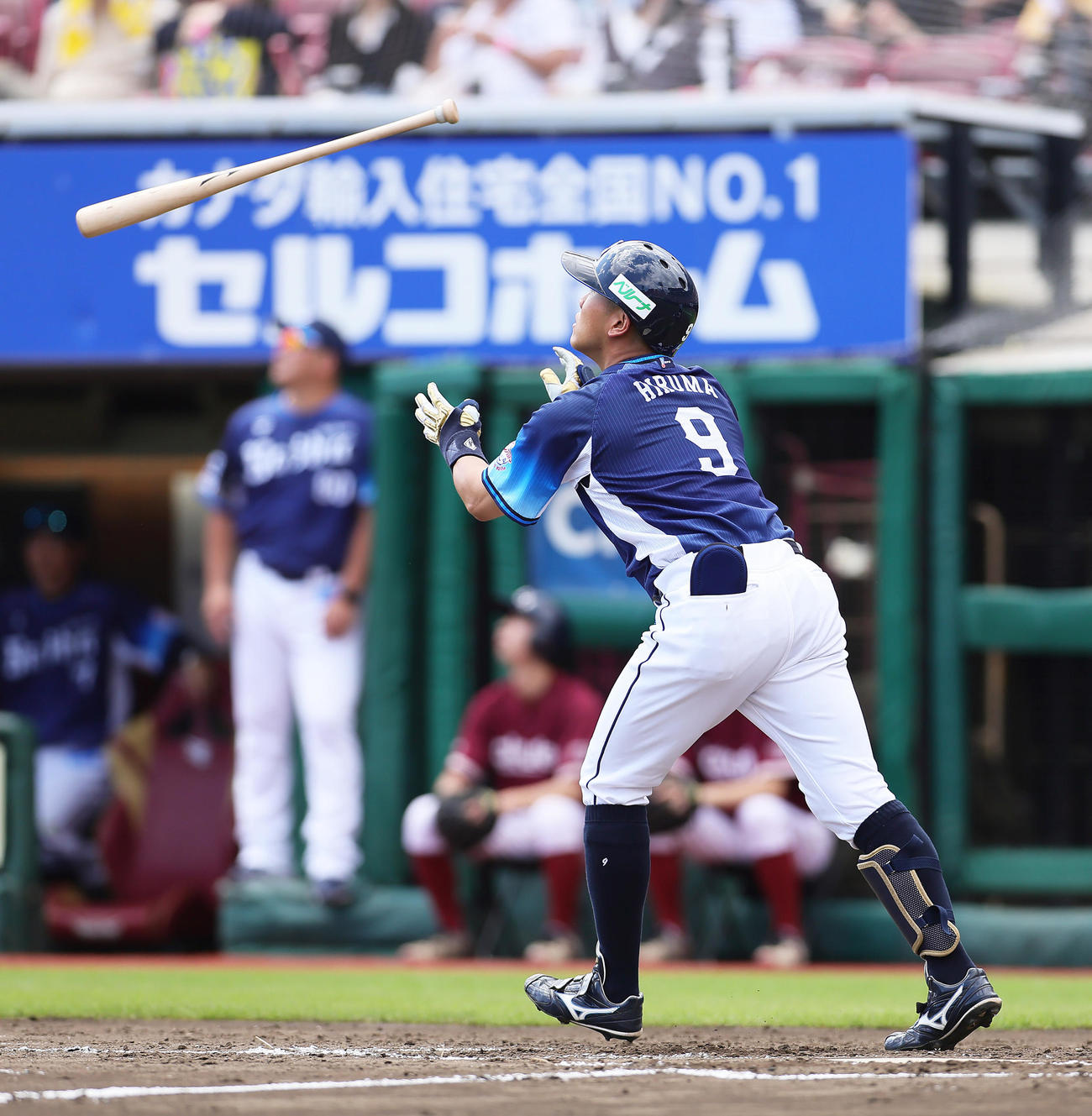 楽天対西武　2回表西武2死一、二塁、蛭間は右越えにプロ初本塁打となる3点本塁打を放ちバットを放り投げる（撮影・足立雅史）