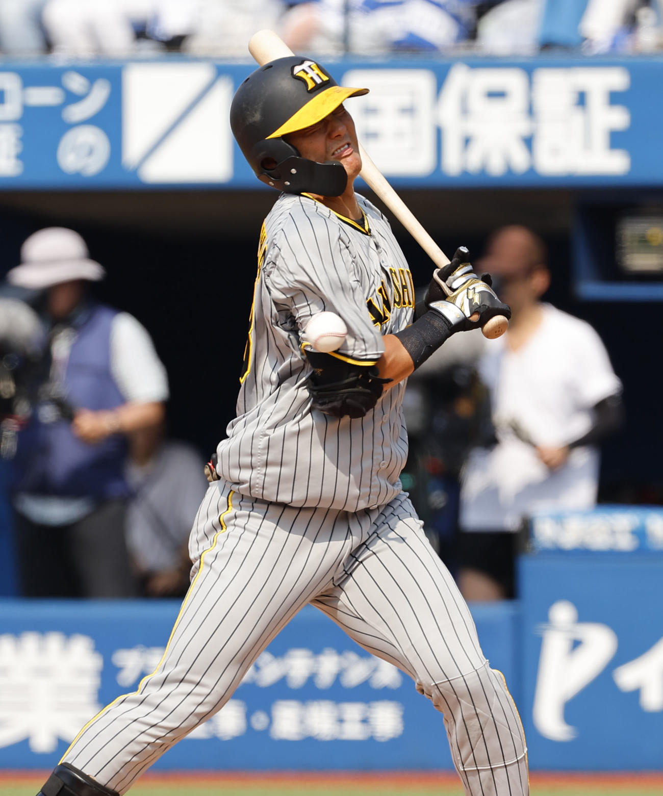 DeNA対阪神　3回表阪神2死、死球をうける前川（撮影・藤尾明華）