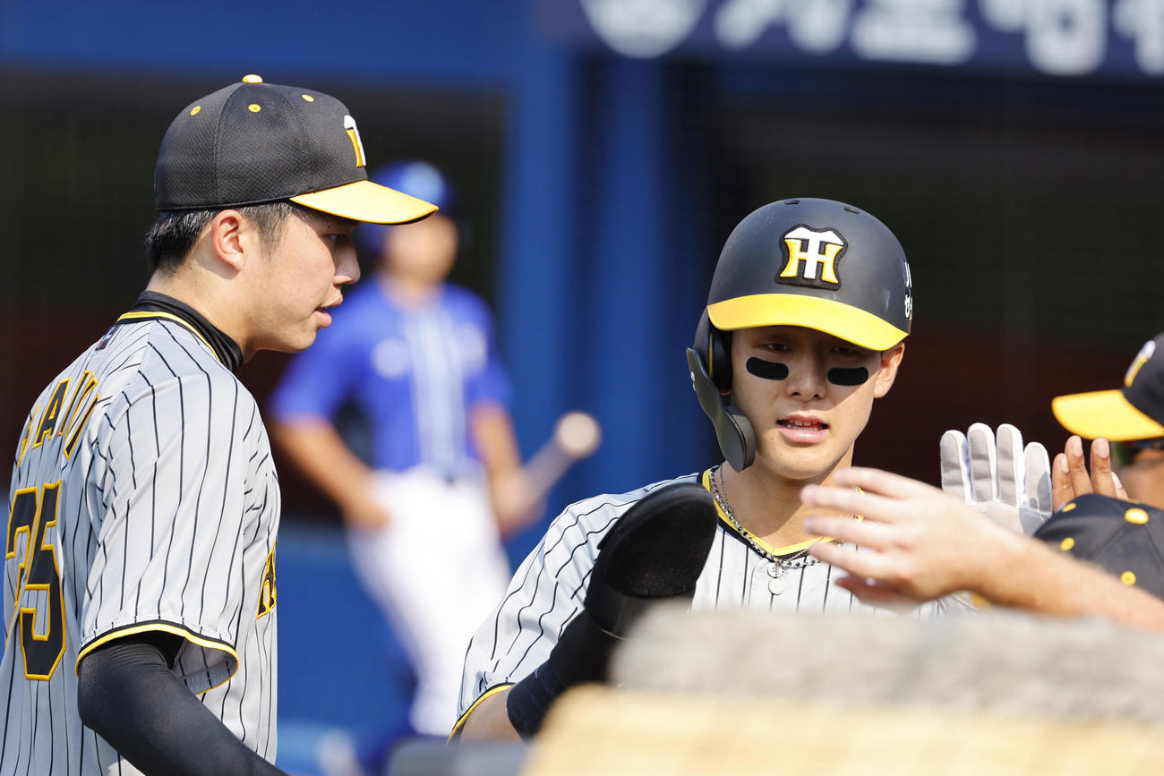 DeNA対阪神　5回表阪神2死一、二塁、前川右京の適時打で生還しタッチを交わす小幡（撮影・藤尾明華）