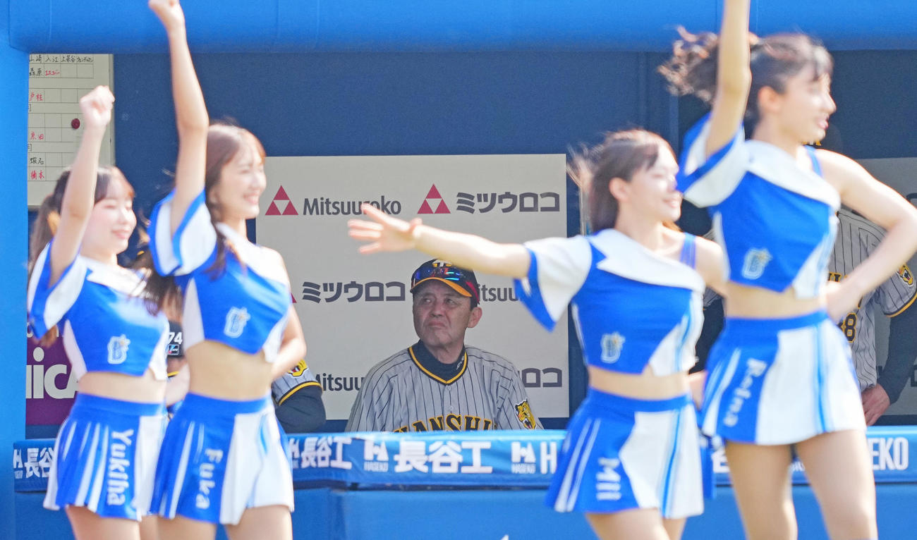 DeNA対阪神　ベンチで厳しい表情の阪神岡田監督（中央）（撮影・垰建太）