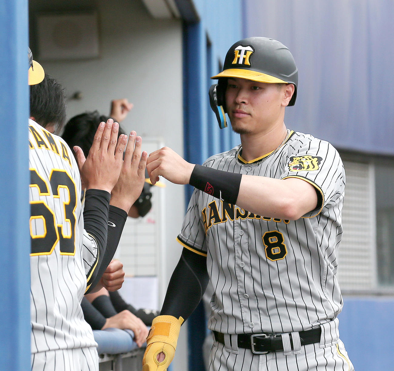 ウエスタン・リーグ中日対阪神　5回表阪神2死満塁、佐藤輝（右）は井坪の右前2点適時打で生還しナインとタッチをかわす（撮影・上山淳一）