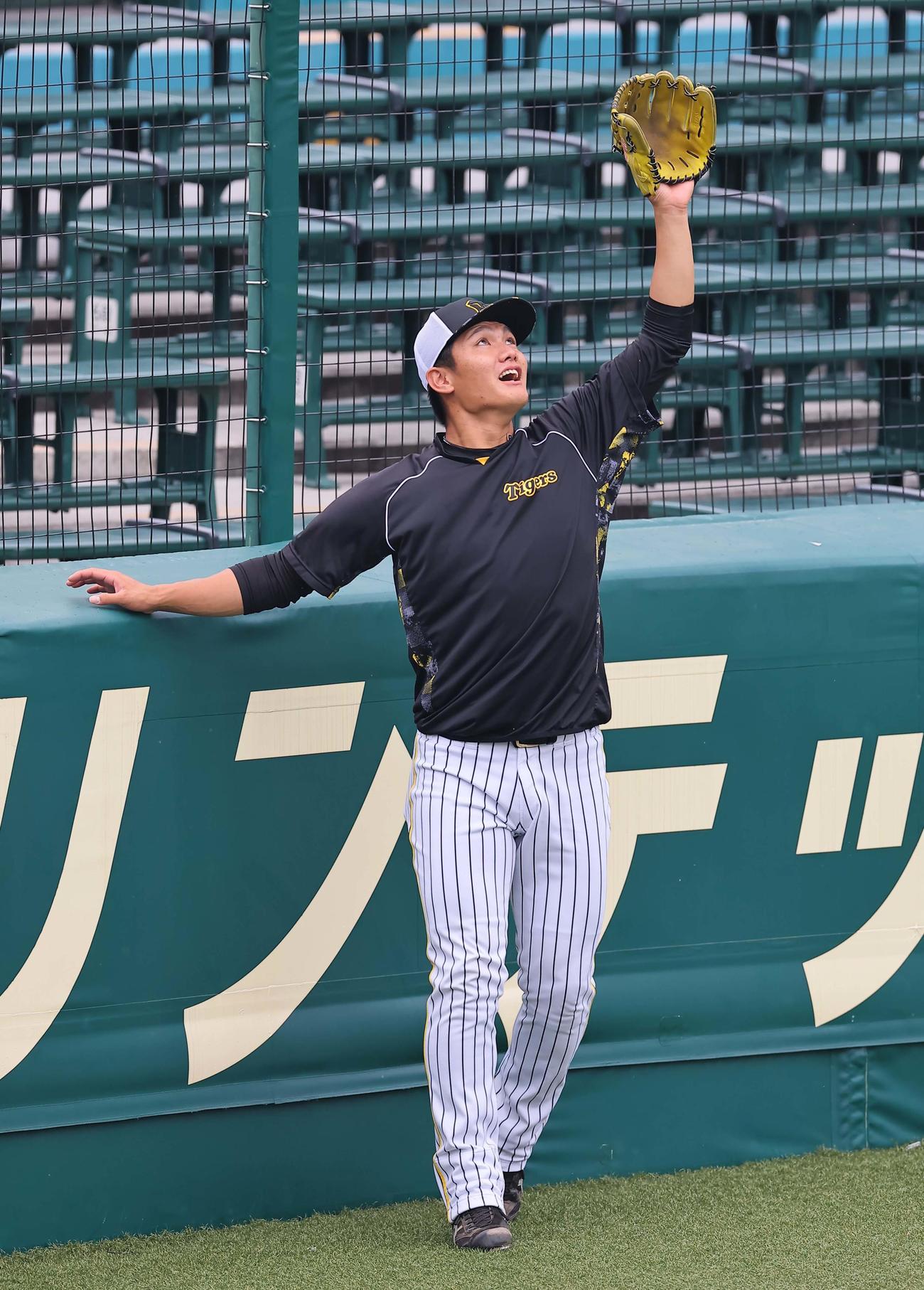 キャッチボールをする西純はフェンスに体をぶつけながら捕球する（撮影・上田博志）