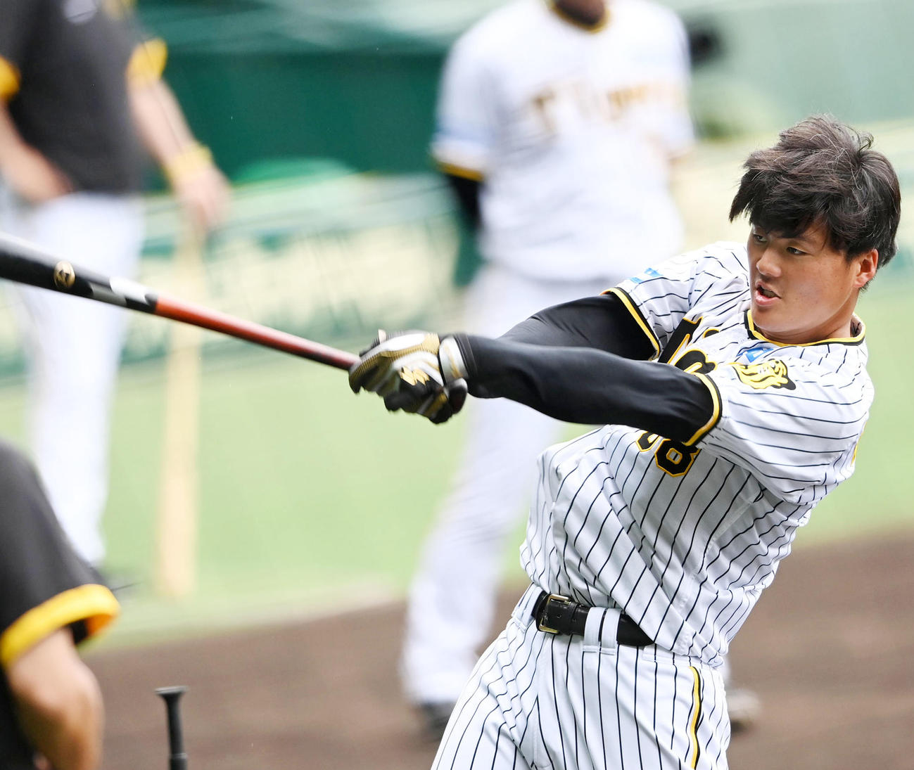 阪神前川右京（2023年6月21日撮影）