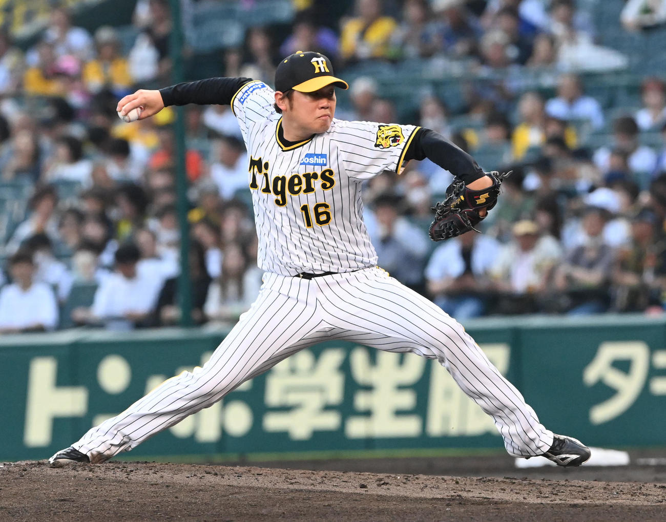 阪神対中日　阪神先発の西勇（撮影・前岡正明）