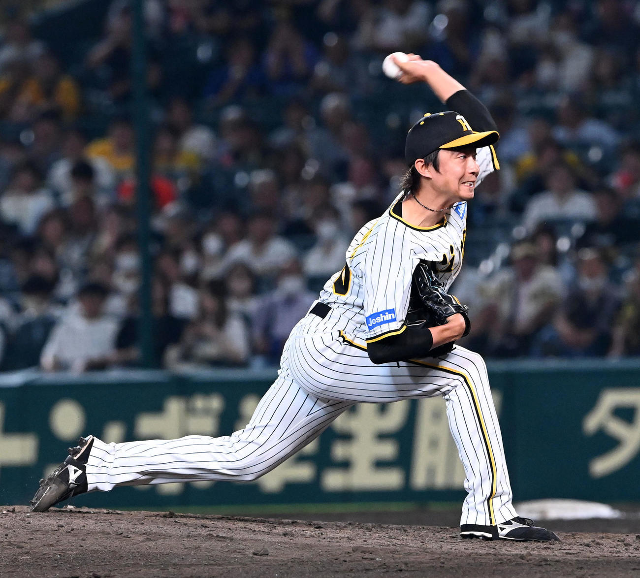 阪神対中日　阪神2番手の島本（撮影・前岡正明）