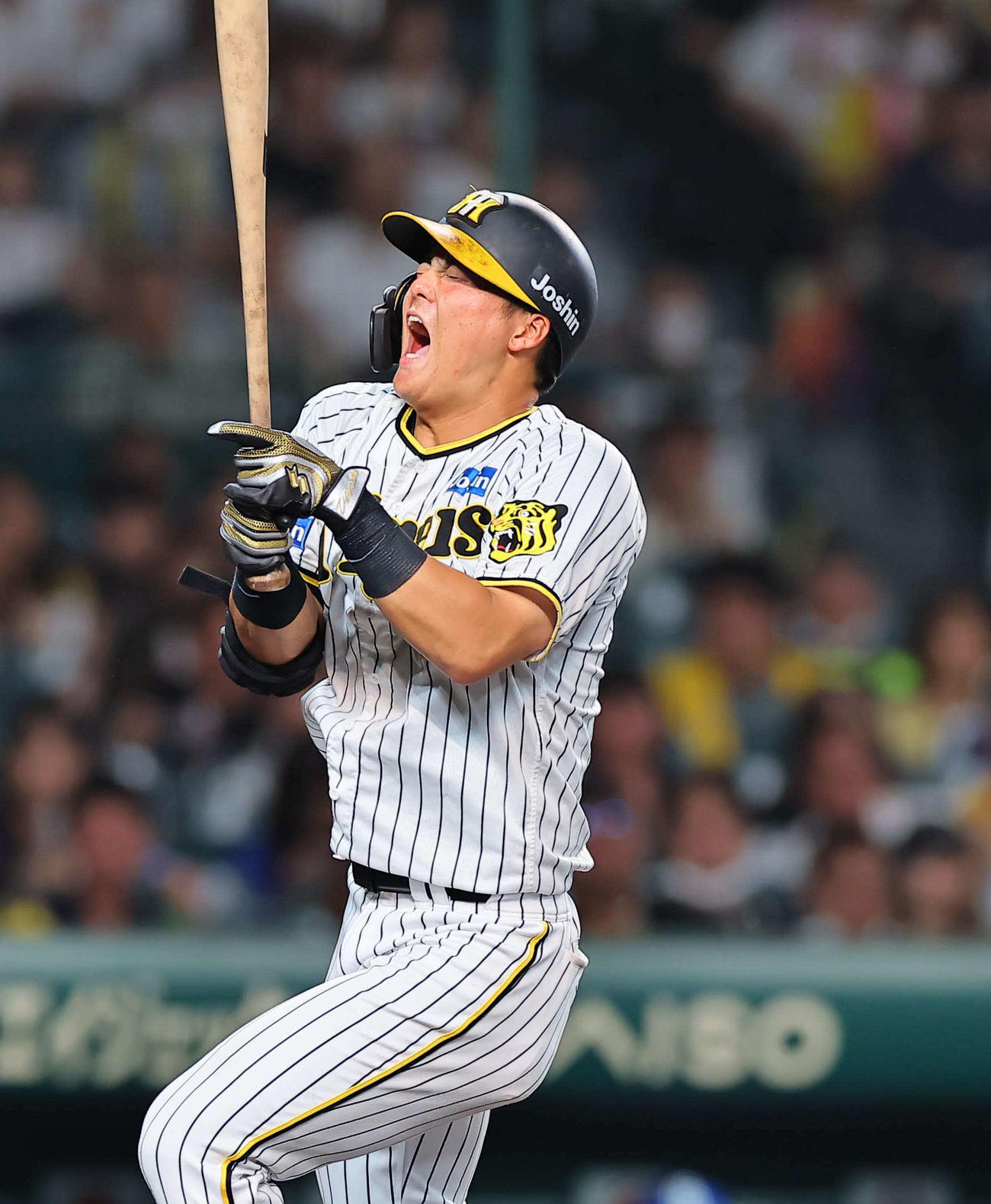 阪神対中日　7回裏阪神2死一塁、死球を受けた前川は苦悶（くもん）の表情を見せる（撮影・上田博志）