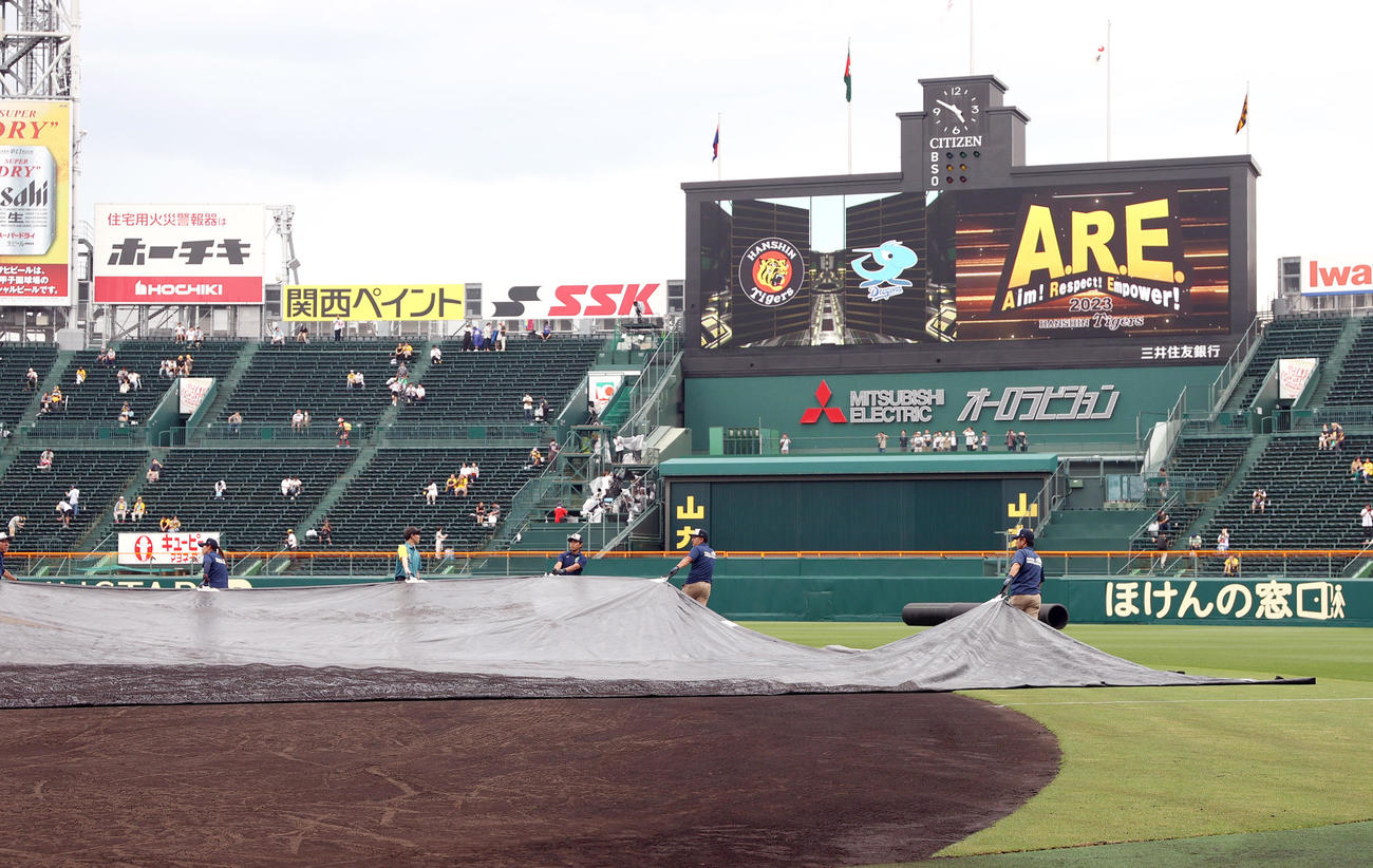 阪神対中日　雨がやみグラウンドシートが外される甲子園球場（撮影・上山淳一）