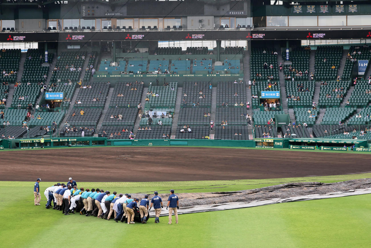 阪神対中日　グラウンドのシートを撤収し小さく巻き始める阪神園芸の職員たち（撮影・加藤哉）