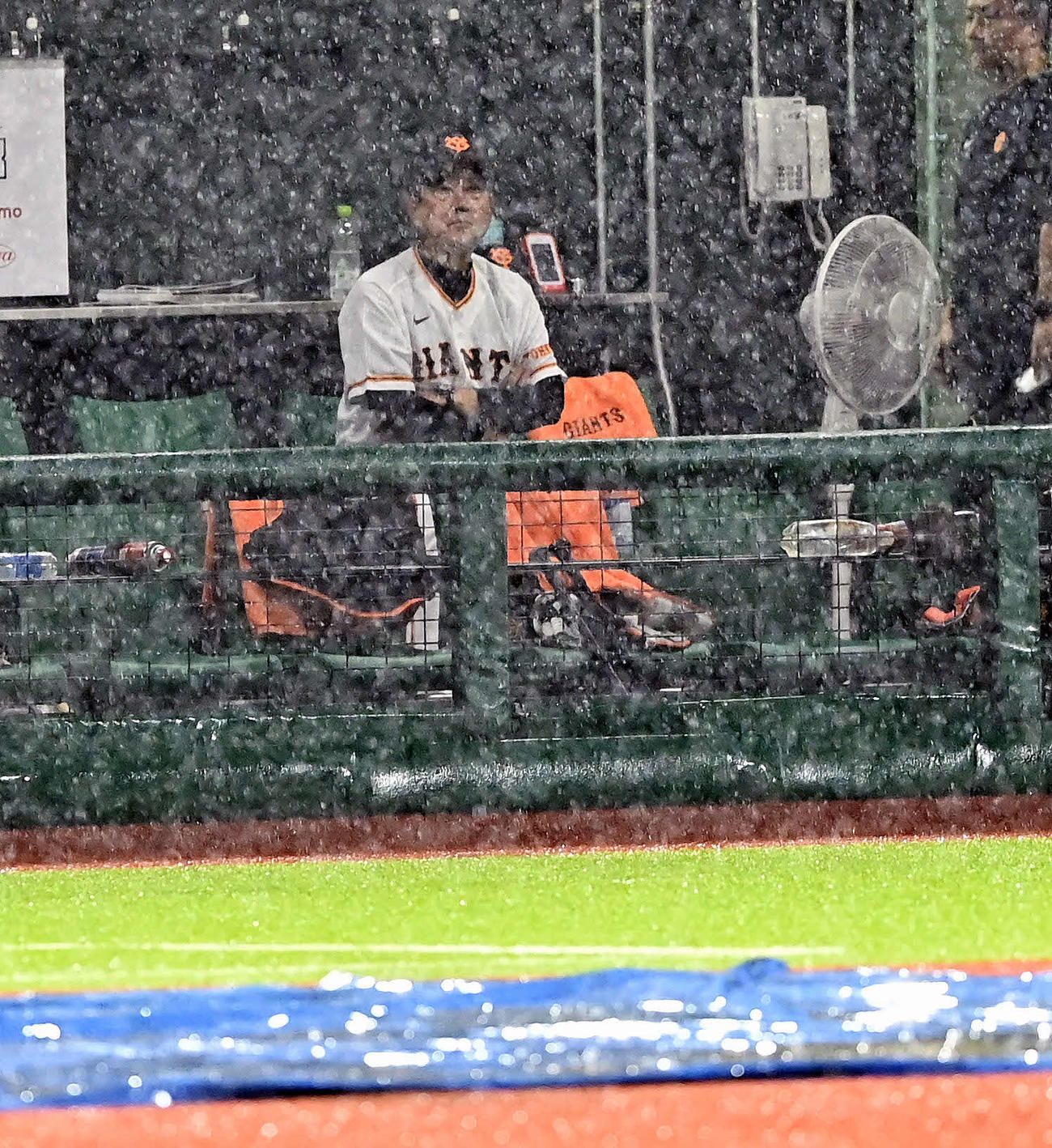 巨人対ヤクルト　7回表、雨で試合が中断しグラウンドを見つめる巨人原監督（撮影・滝沢徹郎）