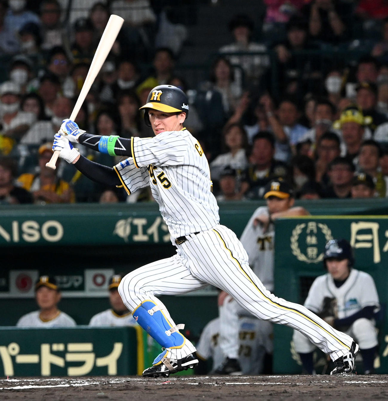 阪神対中日　7回裏阪神2死一、二塁、近本は左前に同点適時打を放つ（撮影・前岡正明）