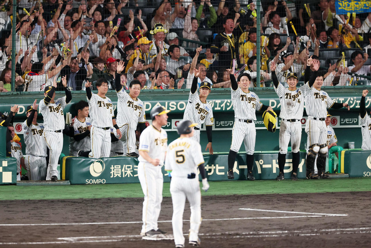 阪神対中日　7回裏阪神2死一、二塁、近本が左適時打を放ち喜ぶベンチの選手たち（撮影・加藤哉）