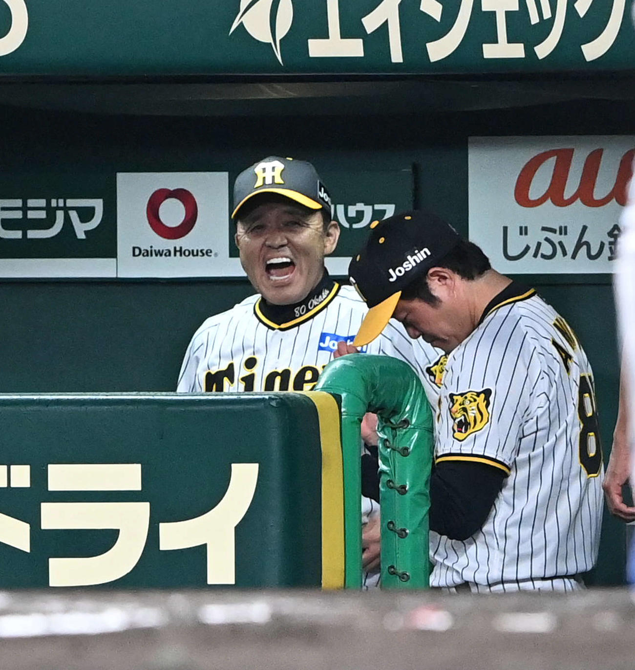 阪神対中日　8回表中日2死二塁、細川を空振り三振に打ち取りほえる岡田監督（撮影・前岡正明）