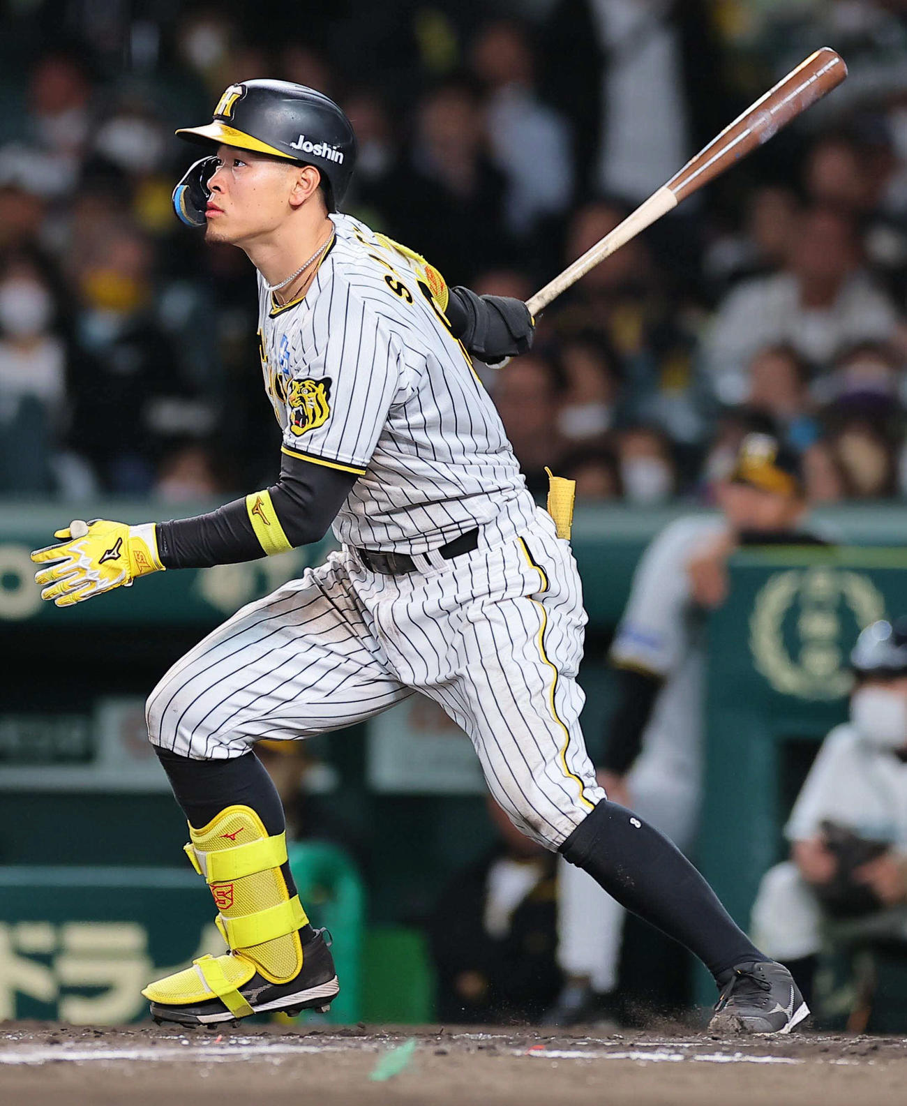 阪神佐藤輝明（2023年5月12日撮影）